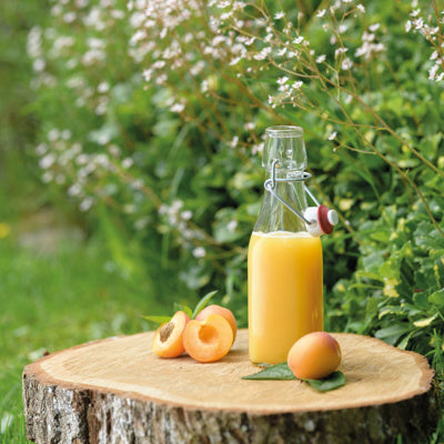 Swing-top bottle