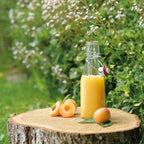 Swing-top bottle